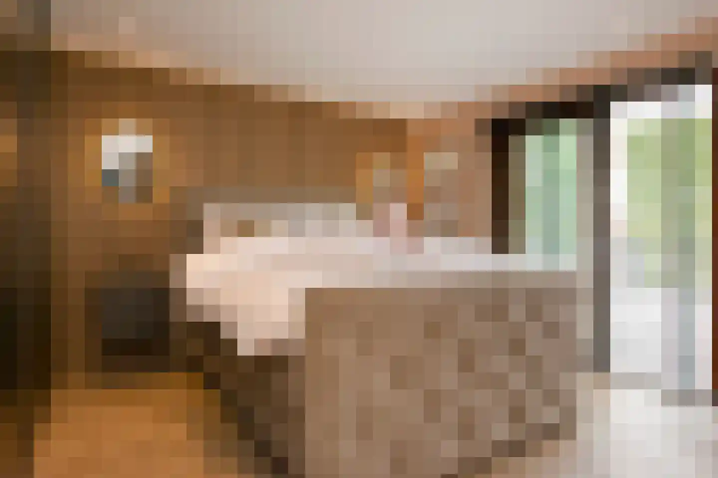 Van Remagenlaan 1 Arnhem thumbnail 21