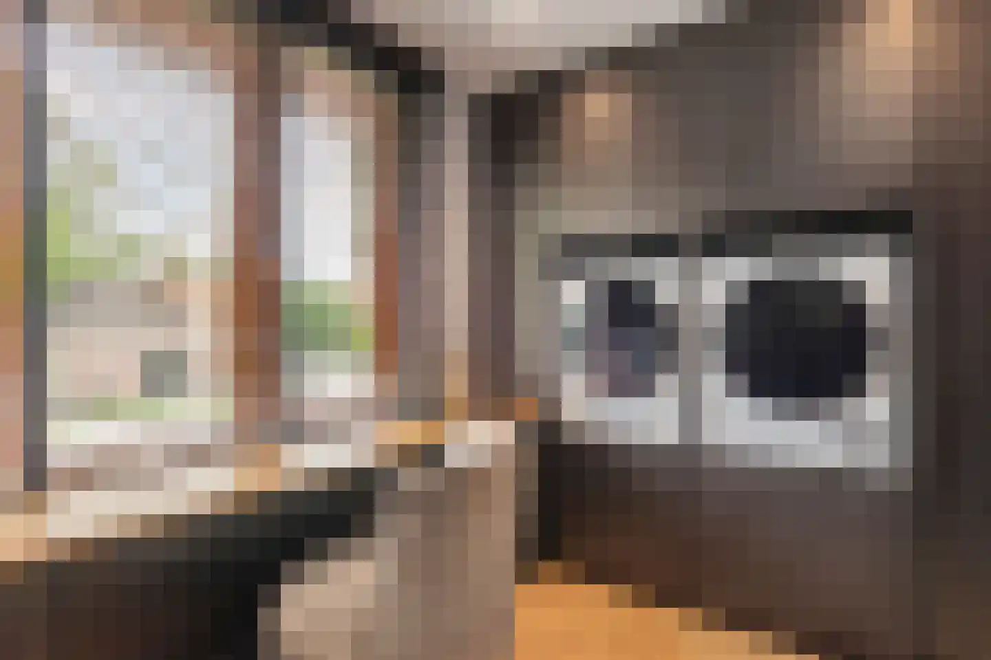 Van Remagenlaan 1 Arnhem thumbnail 32