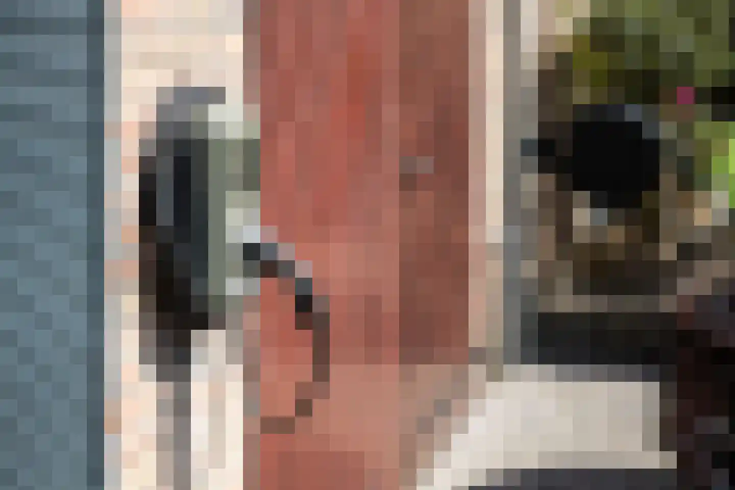 Van Remagenlaan 1 Arnhem thumbnail 52