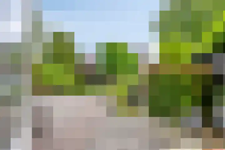 Van Renesseborch 16 Hendrik-Ido-Ambacht thumbnail 44