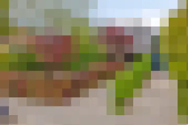 Van Renesseborch 16 Hendrik-Ido-Ambacht thumbnail 5