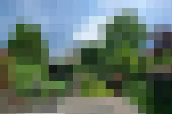 Van Renesseborch 16 Hendrik-Ido-Ambacht thumbnail 53