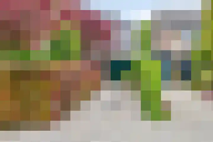 Van Renesseborch 16 Hendrik-Ido-Ambacht thumbnail 6