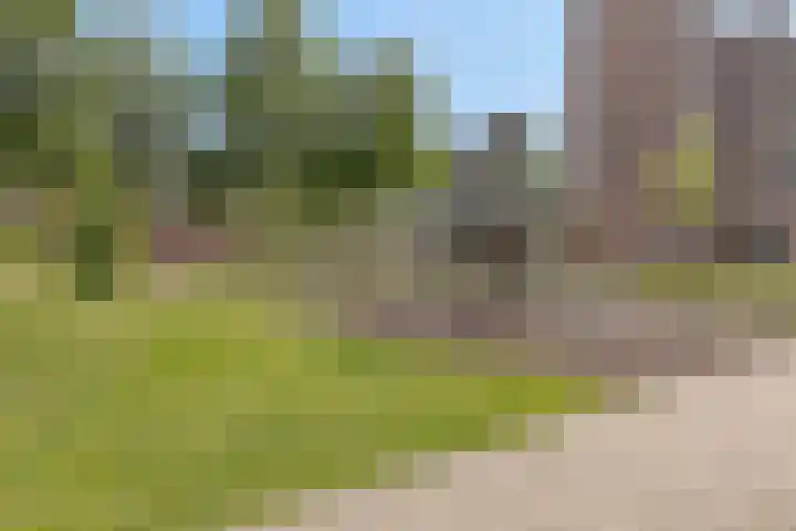Van Renesseborch 31 Hendrik-Ido-Ambacht thumbnail 37