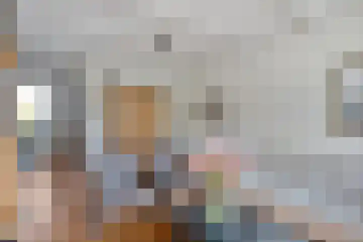 Van Renesseborch 31 Hendrik-Ido-Ambacht thumbnail 6
