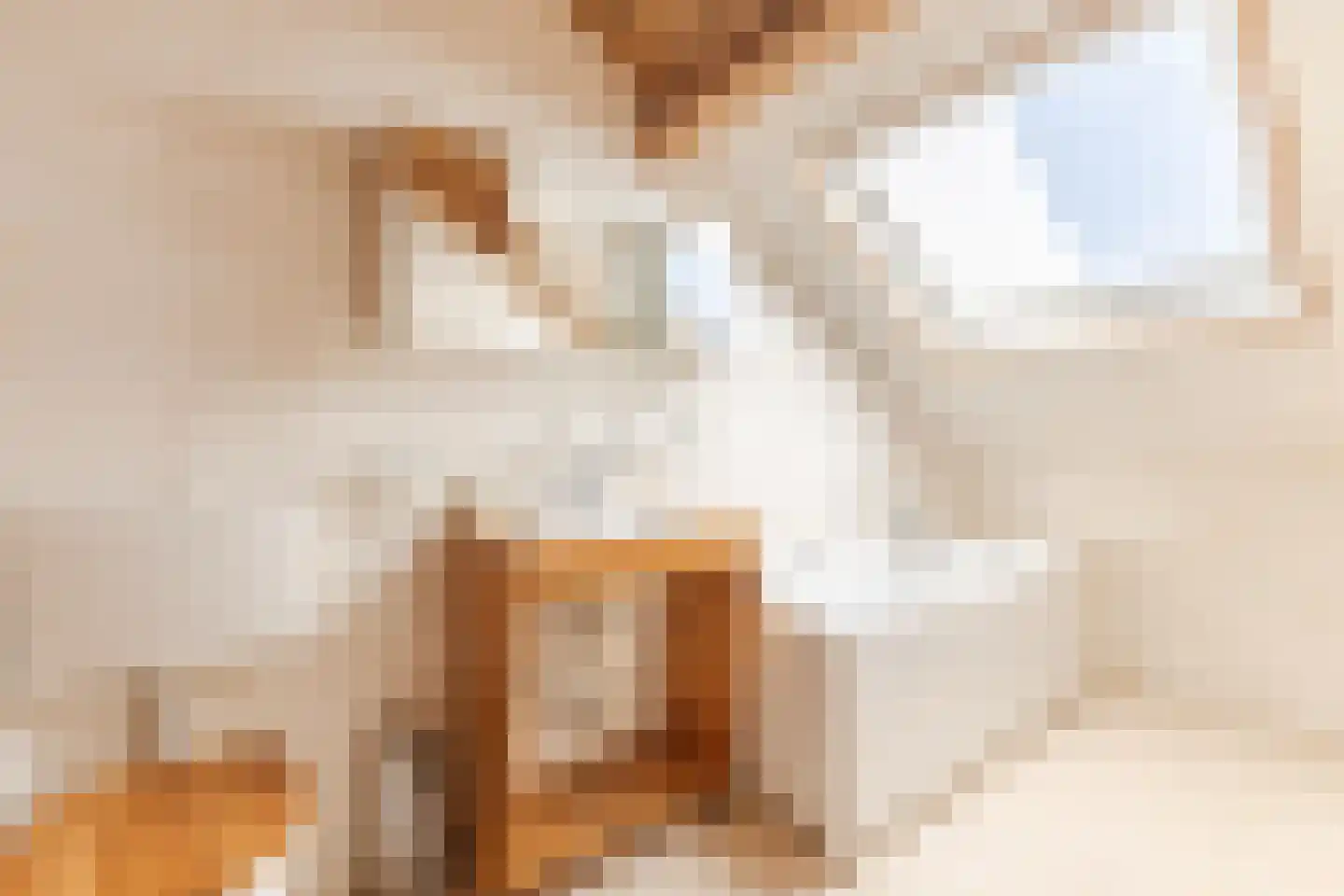 Van Renesseborch 47 Hendrik-Ido-Ambacht thumbnail 17