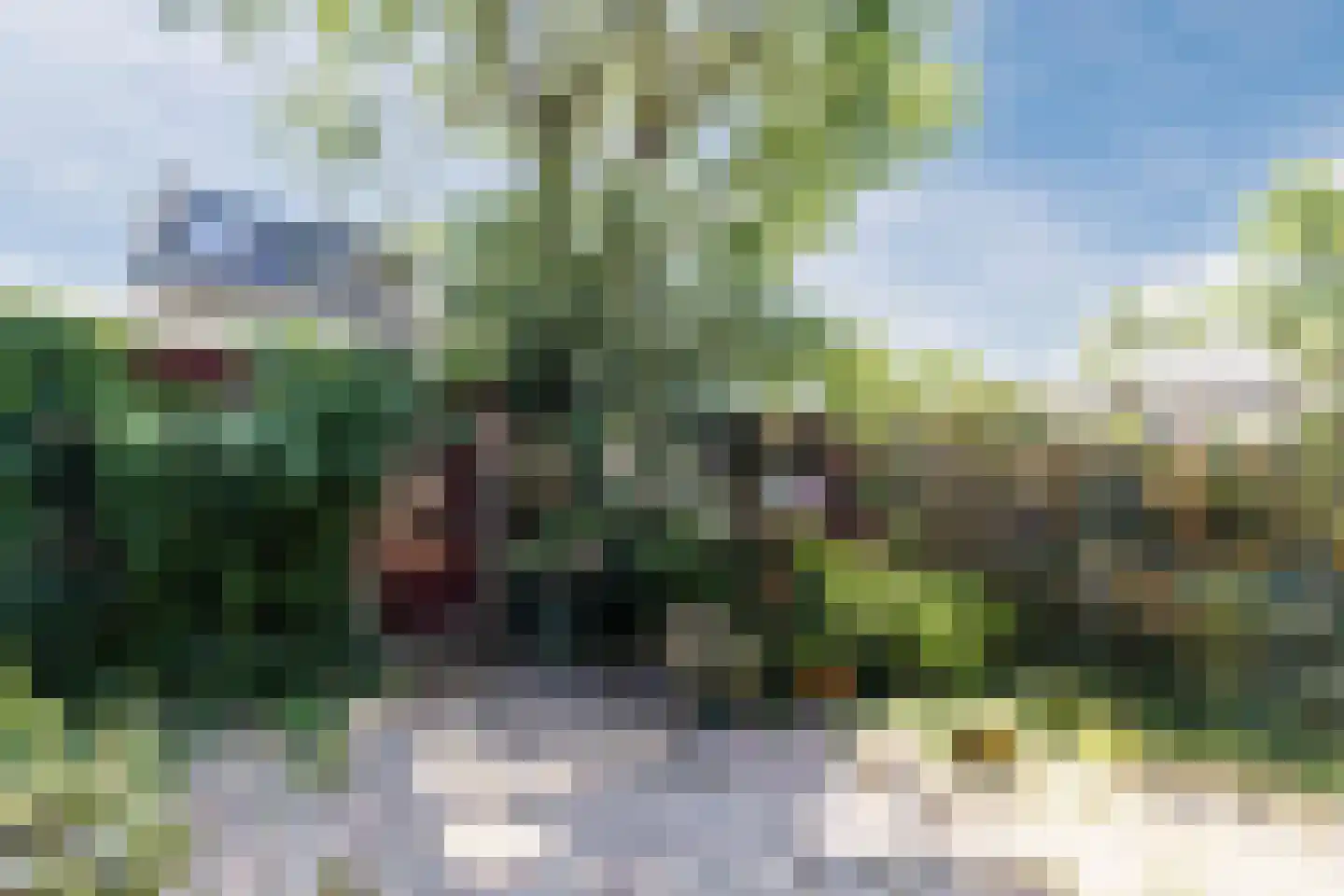Van Renesseborch 47 Hendrik-Ido-Ambacht thumbnail 23