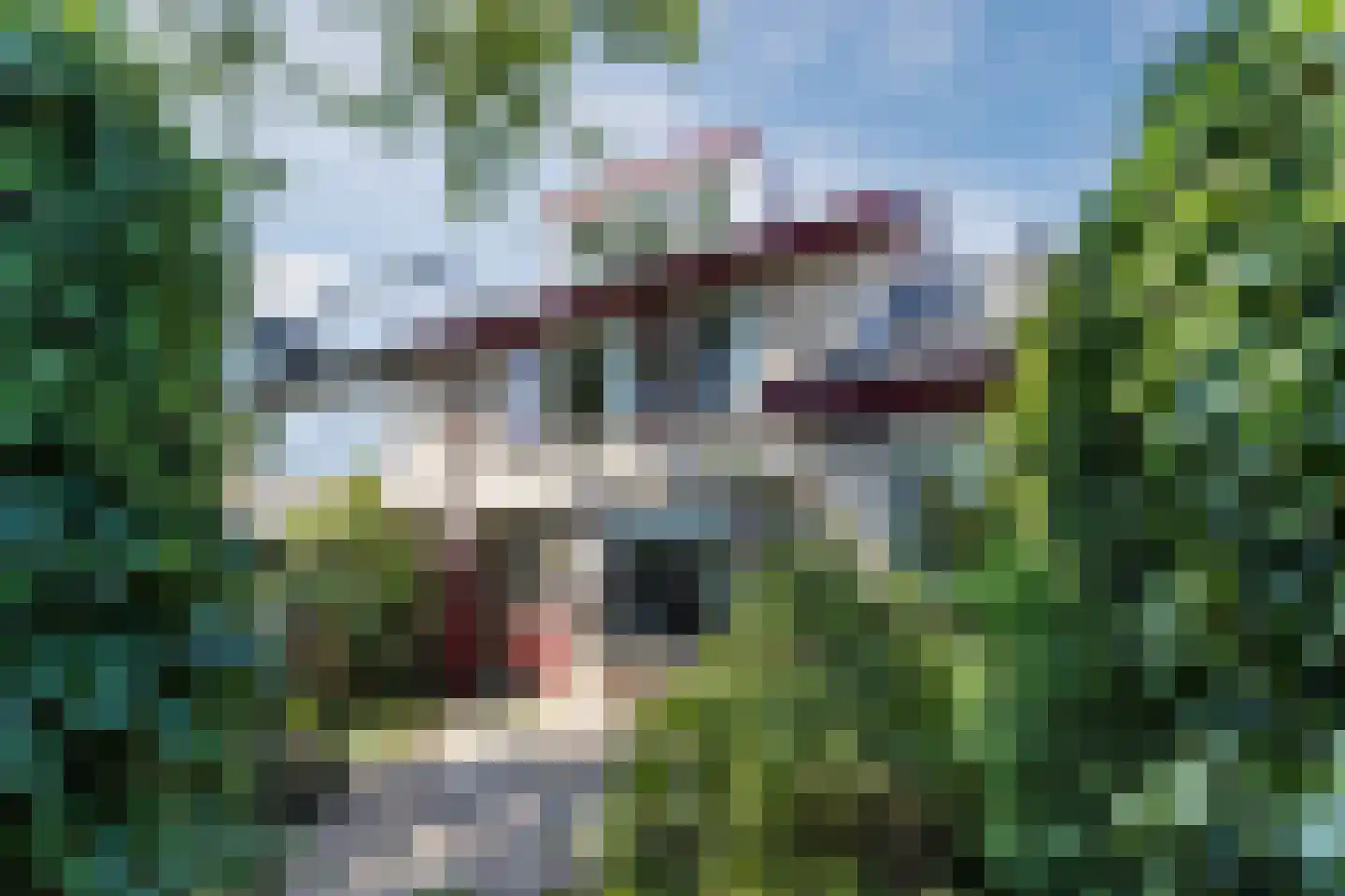 Van Renesseborch 47 Hendrik-Ido-Ambacht thumbnail 24