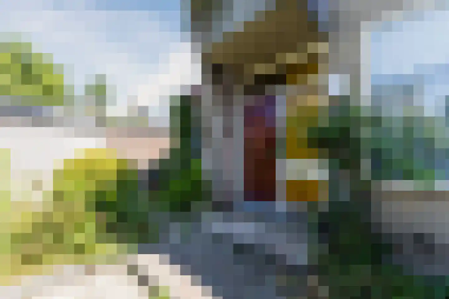 Van Renesseborch 47 Hendrik-Ido-Ambacht thumbnail 4