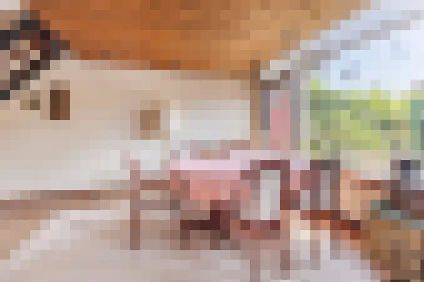 Van Renesseborch 47 Hendrik-Ido-Ambacht thumbnail 9