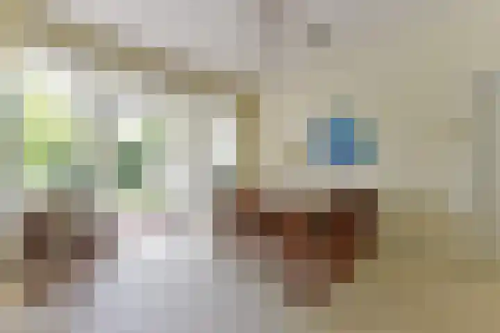 Van Renesselaan 11 Zeist thumbnail 12