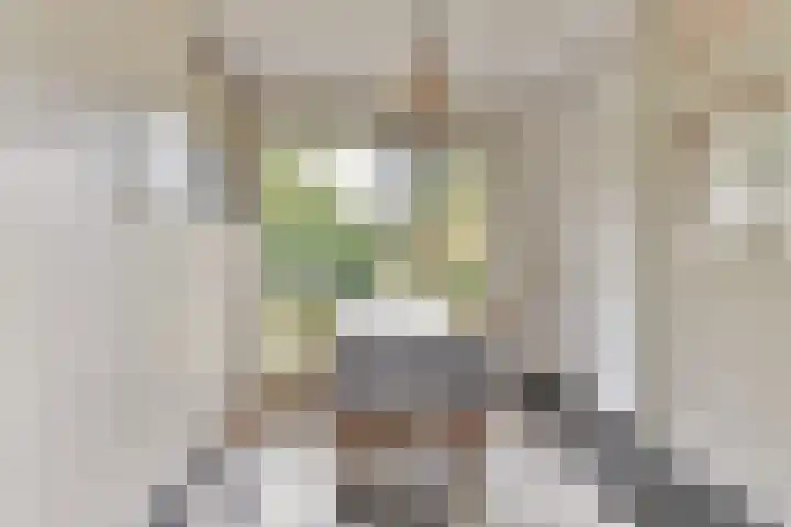 Van Renesselaan 11 Zeist thumbnail 18