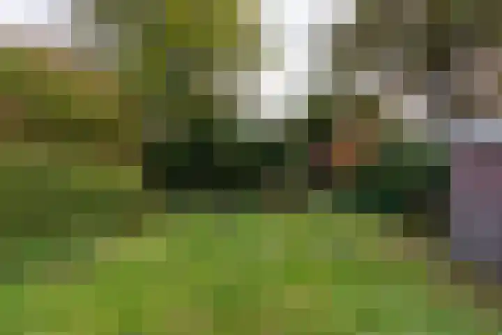 Van Renesselaan 11 Zeist thumbnail 23