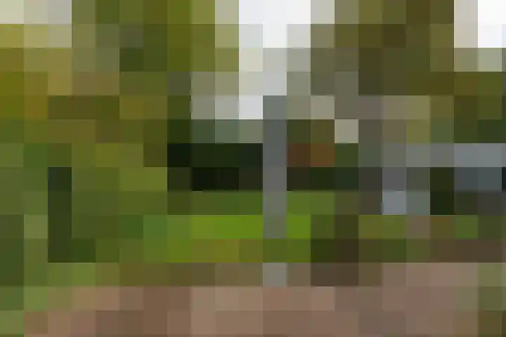 Van Renesselaan 11 Zeist thumbnail 24