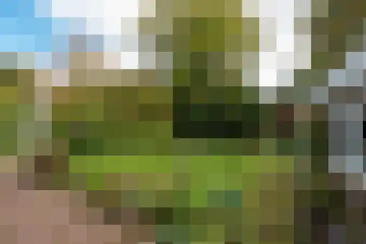 Van Renesselaan 11 Zeist thumbnail 25