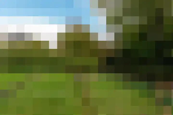 Van Renesselaan 11 Zeist thumbnail 26
