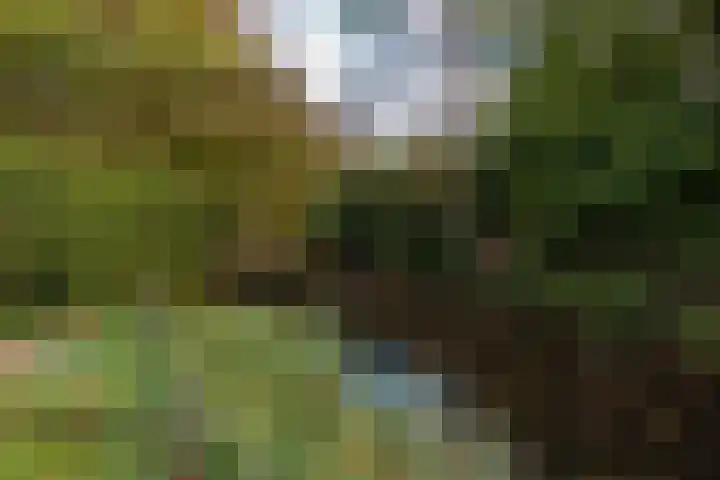 Van Renesselaan 11 Zeist thumbnail 27