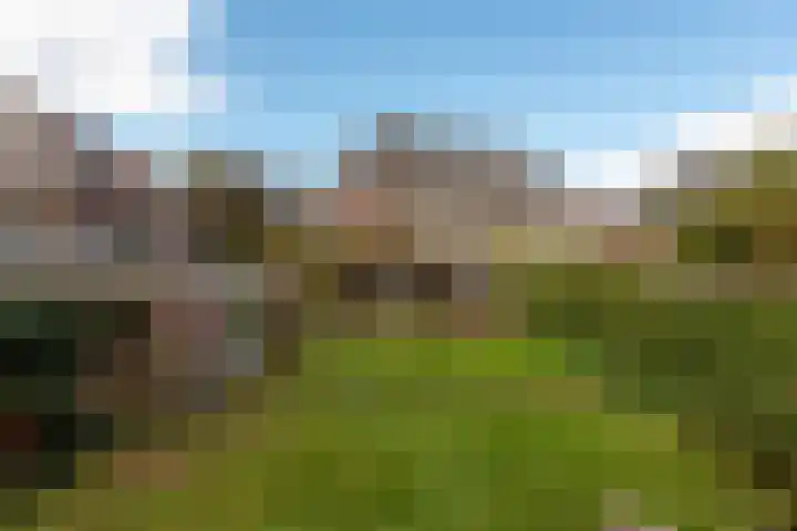 Van Renesselaan 11 Zeist thumbnail 29