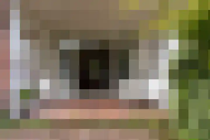 Van Renesselaan 11 Zeist thumbnail 30