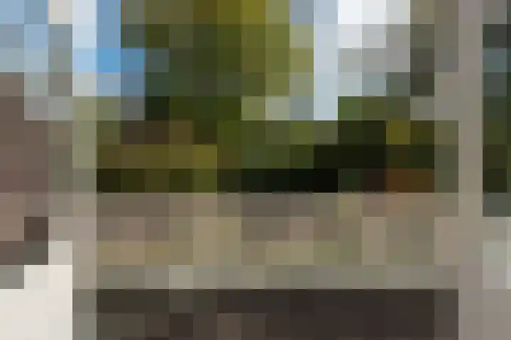 Van Renesselaan 11 Zeist thumbnail 38