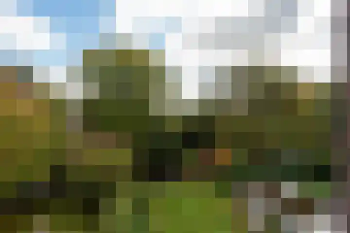 Van Renesselaan 11 Zeist thumbnail 39