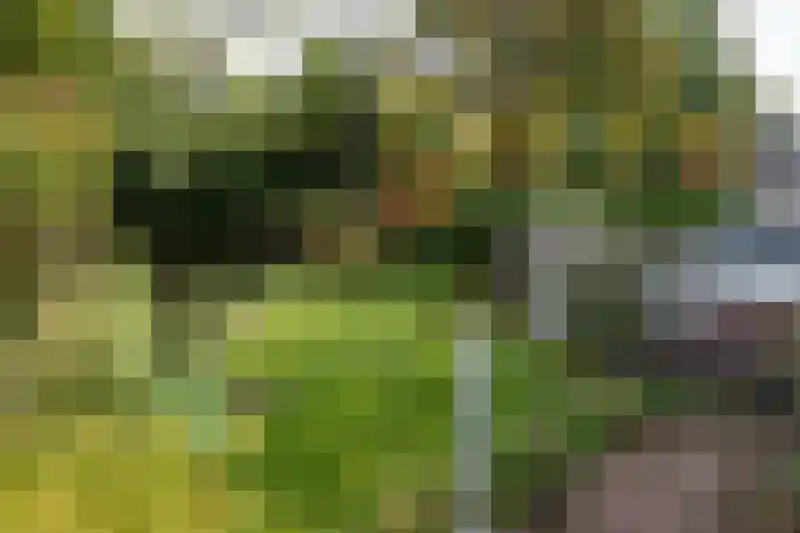 Van Renesselaan 11 Zeist thumbnail 40