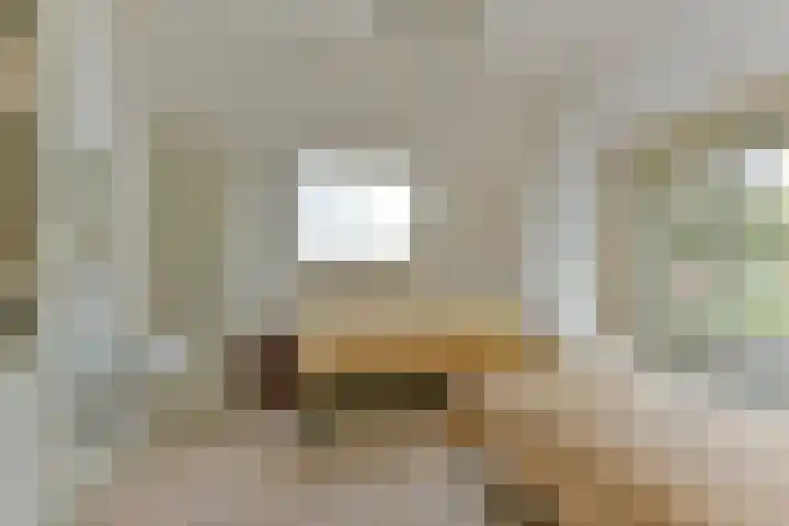 Van Renesselaan 11 Zeist thumbnail 48