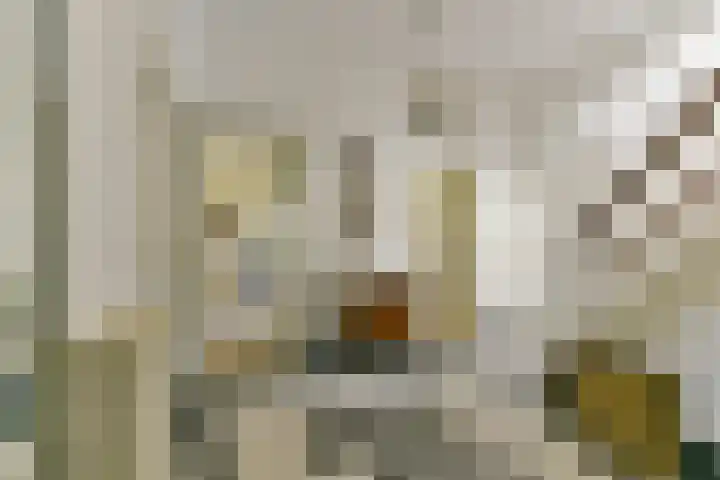 Van Renesselaan 11 Zeist thumbnail 5