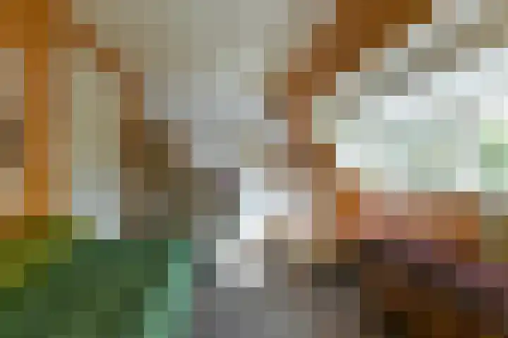 Van Renesselaan 11 Zeist thumbnail 51
