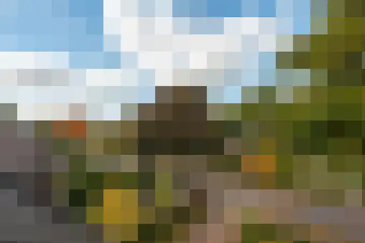 Van Renesselaan 11 Zeist thumbnail 54