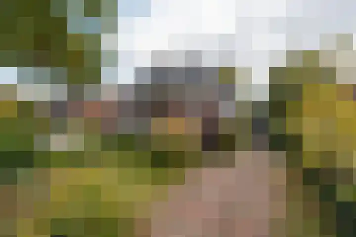 Van Renesselaan 11 Zeist thumbnail 56