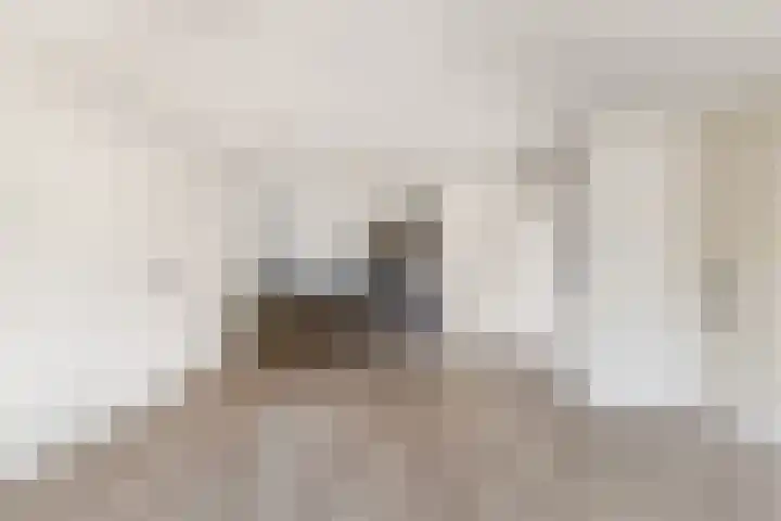 Van Renesselaan 3 Castricum thumbnail 14