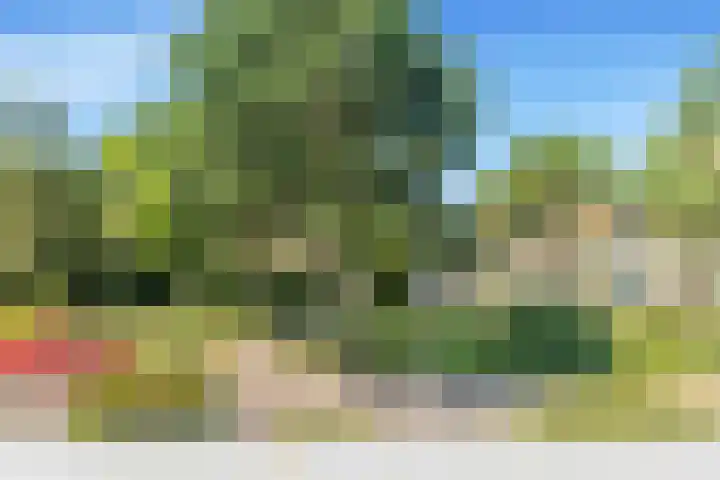 Van Renesselaan 3 Castricum thumbnail 24