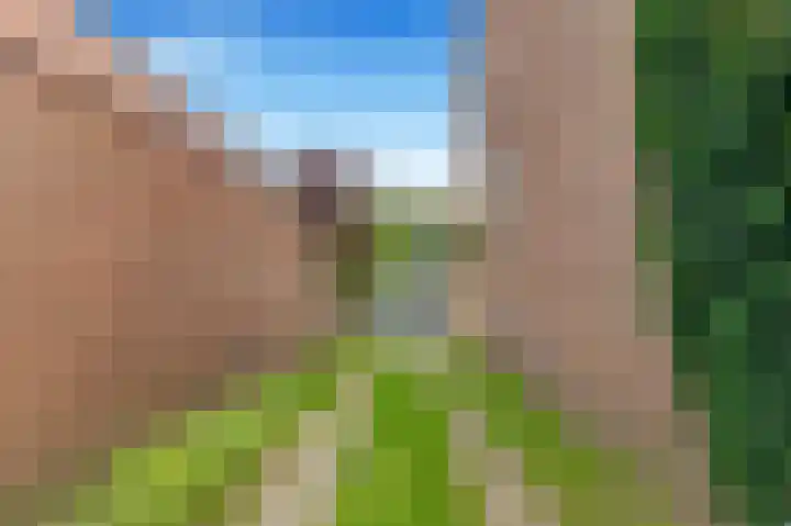 Van Renesselaan 3 Castricum thumbnail 39