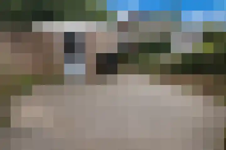 Van Renesselaan 3 Castricum thumbnail 41