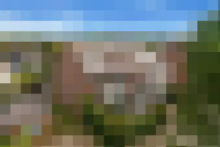 Van Renesselaan 3 Castricum thumbnail 6