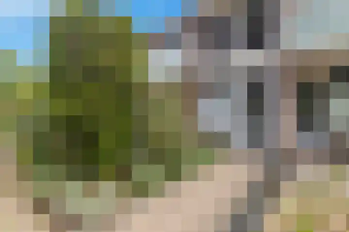 Van Renesselaan 3 Castricum thumbnail 7