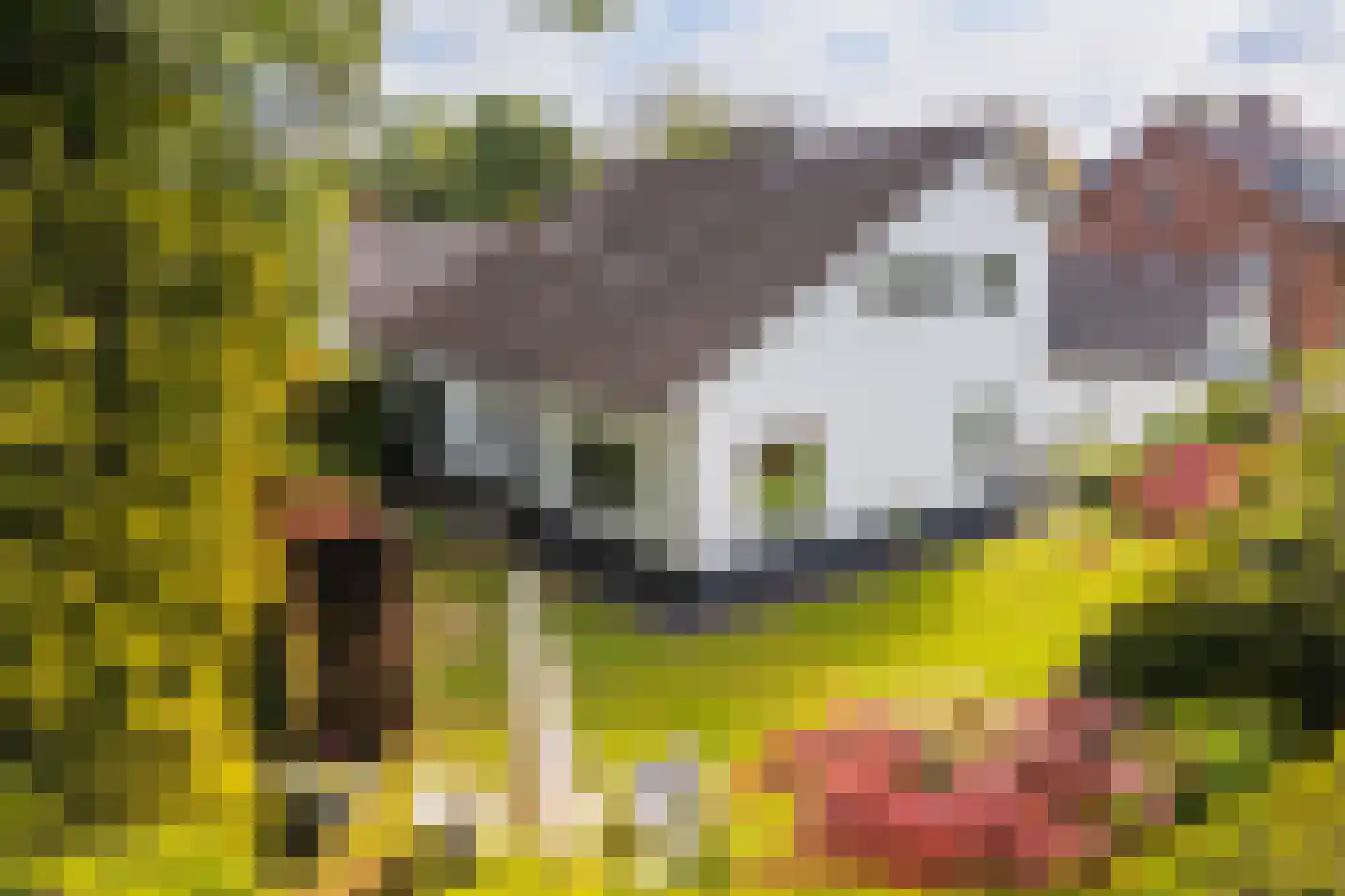 Van Renesselaan 43 A Zeist thumbnail 10