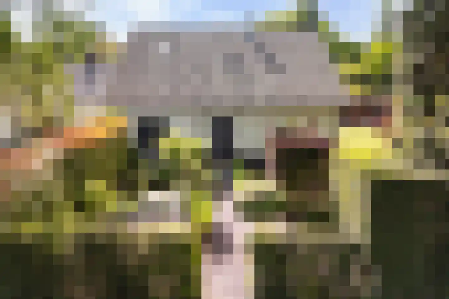 Van Renesselaan 43 A Zeist thumbnail 11
