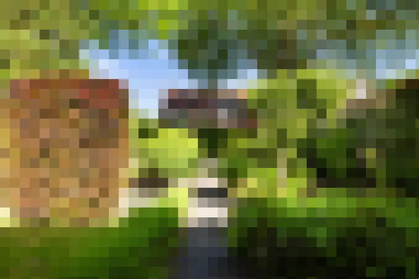 Van Renesselaan 43 A Zeist thumbnail 12