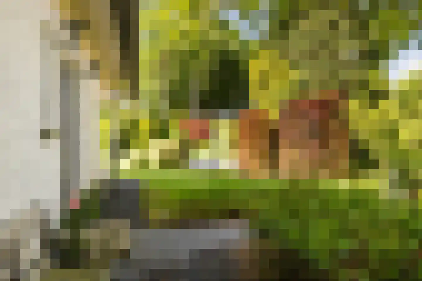 Van Renesselaan 43 A Zeist thumbnail 33