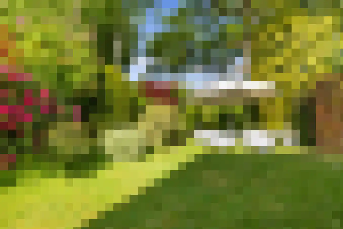 Van Renesselaan 43 A Zeist thumbnail 38