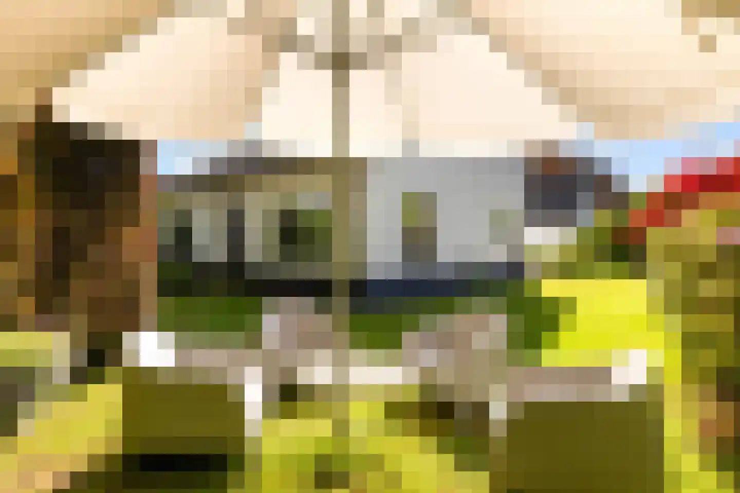 Van Renesselaan 43 A Zeist thumbnail 39