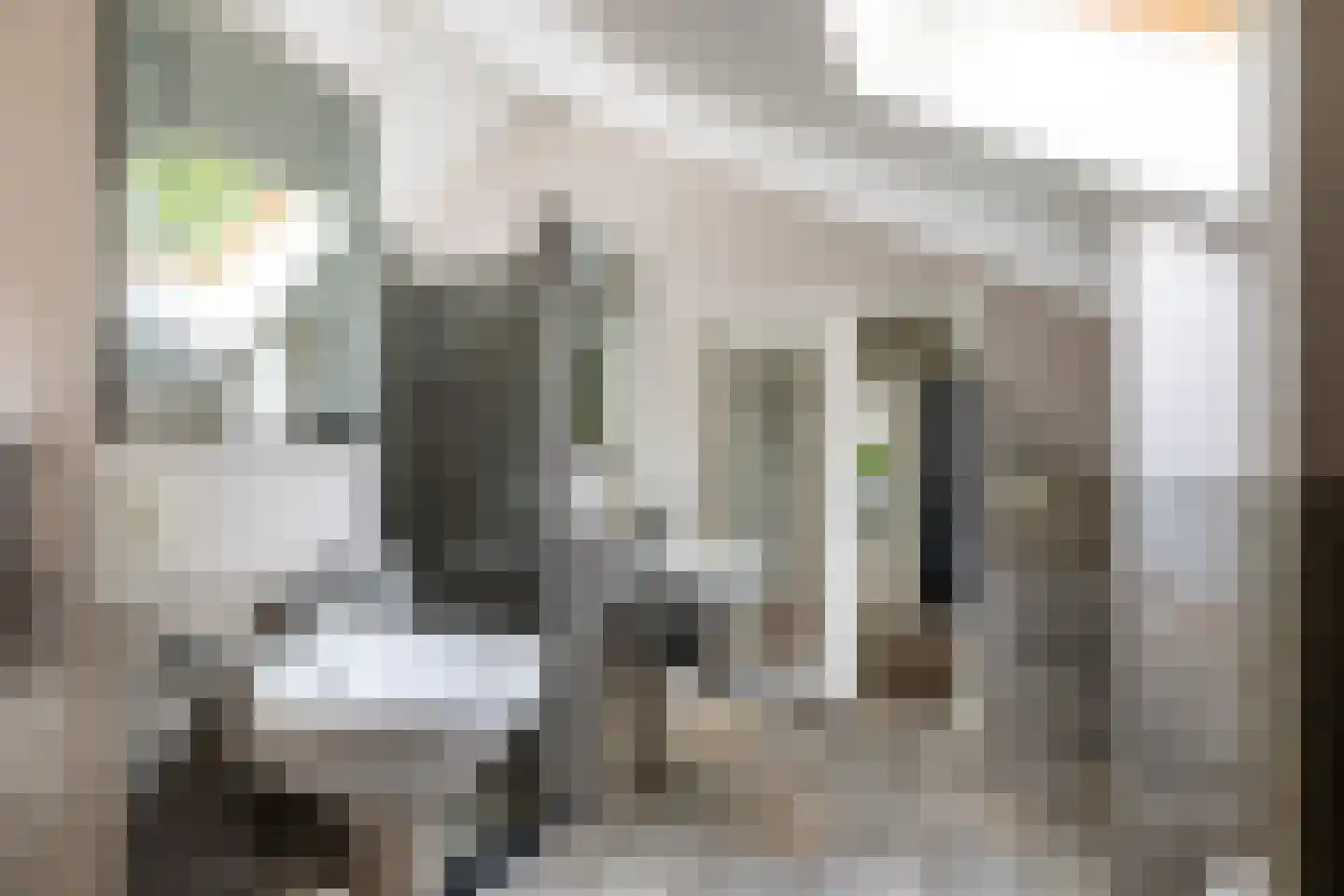 Van Renesselaan 43 A Zeist thumbnail 4
