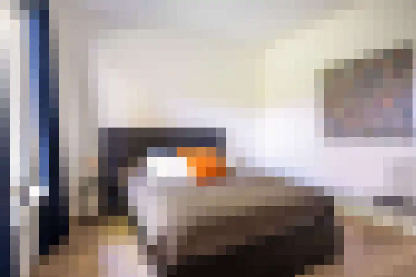 Van Renesselaan 43 A Zeist thumbnail 48