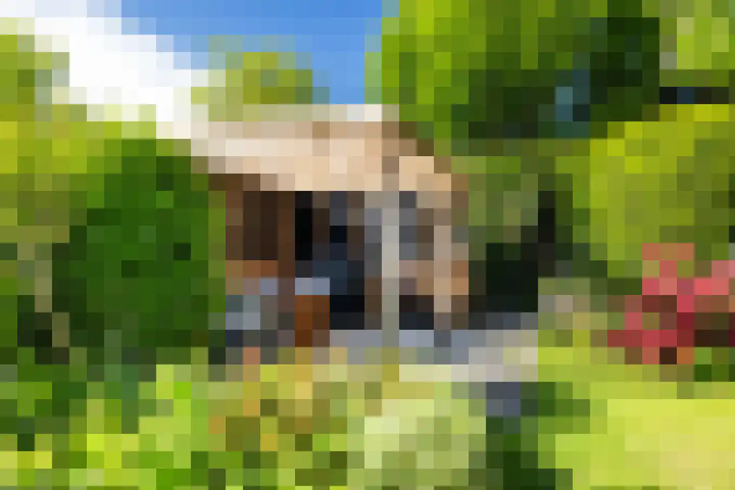 Van Renesselaan 43 A Zeist thumbnail 5