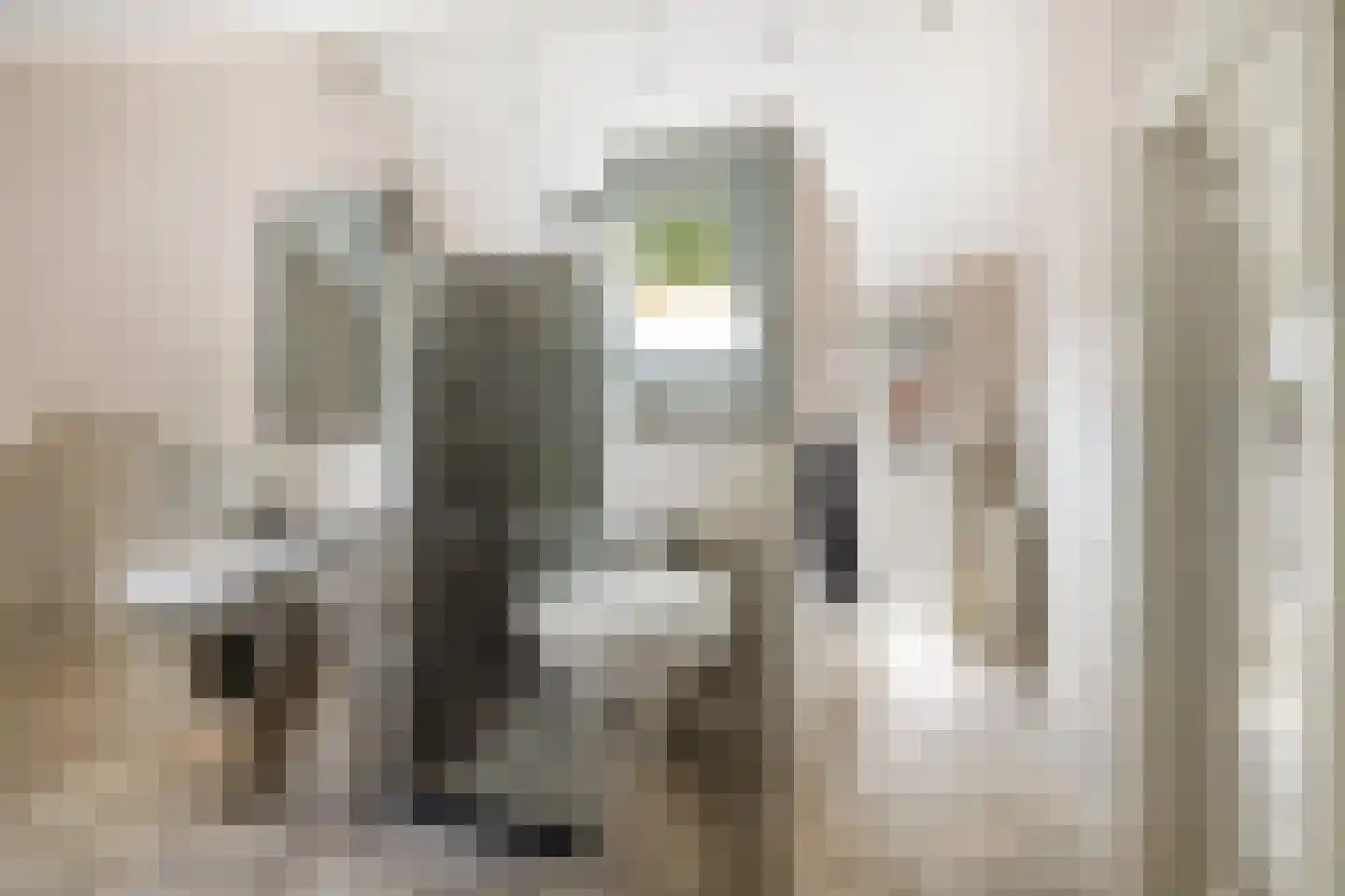 Van Renesselaan 43 A Zeist thumbnail 58