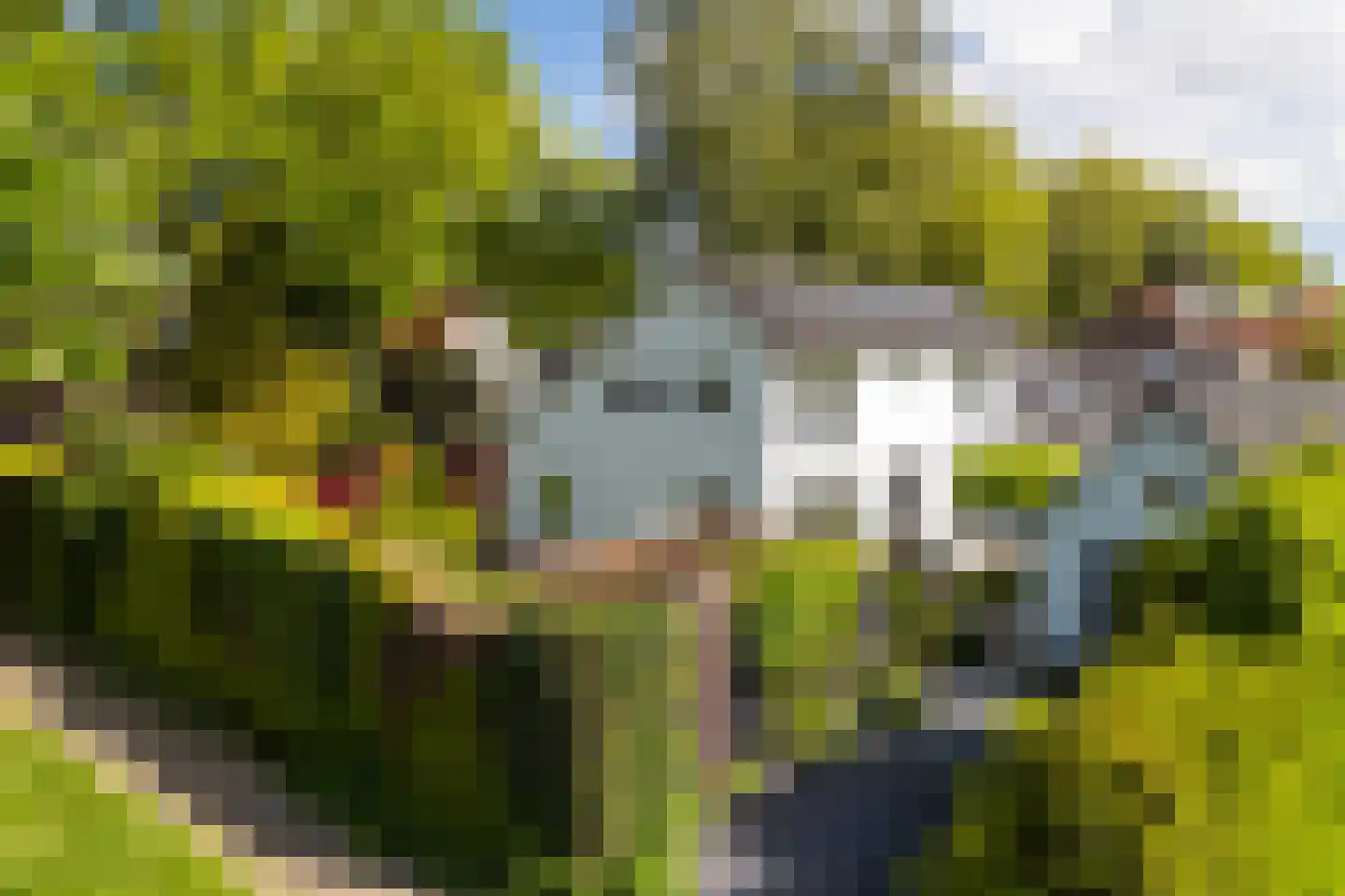 Van Renesselaan 43 A Zeist thumbnail 6