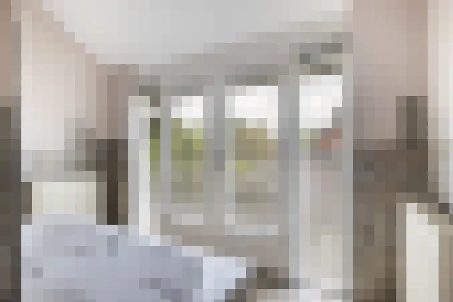 Van Renesselaan 43 A Zeist thumbnail 60