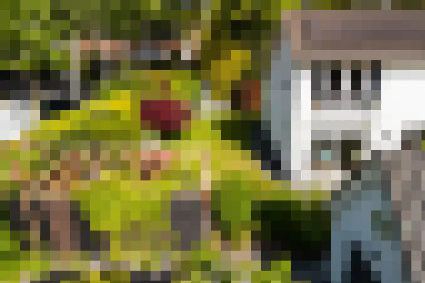 Van Renesselaan 43 A Zeist thumbnail 7